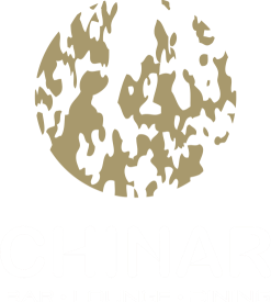 Yeni Çinar Restoranı